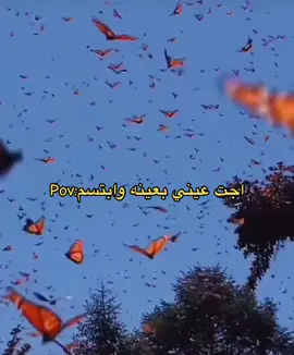 اخخخخ نضرته😭♥️♥️♥️#CapCut #زهراء #ترند_تيك_توك #شاشه_سوداء 