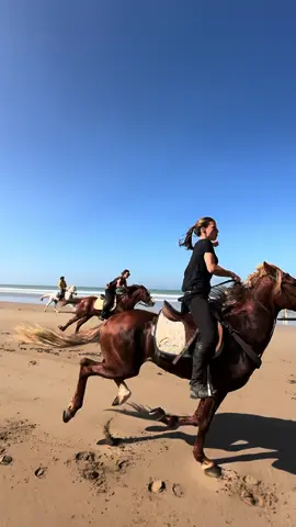 Riding stallions at the beach 🐎🇲🇦💫🚀 👉🏼 Wanna join us? We are a Travel Agency based in Essaouira (Morocco), contact us for coming and ride the best stallions in town.  . . . . . . . . . #horse #horses #horsesontiktok #horsesoftiktok #horsesoftiktok💕 #equestrianlife #equestrian #caballo #pferd #womanempowerment #caballos #caballos #horsegirl #horseholiday #equestriangirl #equestriansoftiktok #travel #beautifuldestinations #morocco #equestrianholiday #horselove 