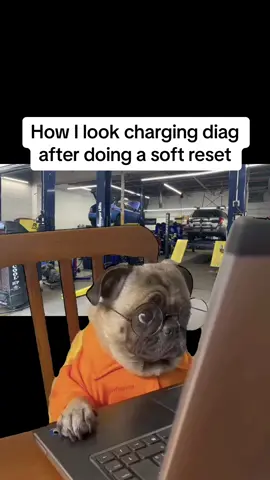 Soft reset for the win #modules #techniciansoftiktok #mechanic #pug #dogtok #repair #reset #f150 #ram #stellantis #Meme #MemeCut 