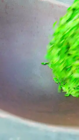 #handcraft #handmade #fyp #LearnOnTikTok #chineseculture 