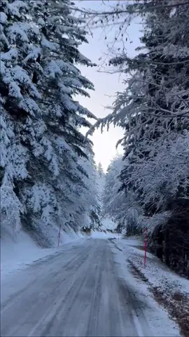 ❄️Sur les routes de l'Auvergne, dans le massif du Sancy début décembre  #mountains #puydedome #france #auvergne #massifdusancy #foryou #snow #fairy #winter #pourtoi #fypシ #christmas 