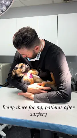 I will fix them. #drtom #veterinariansoftiktok #veterinarian #fyp #foryou #dogsoftiktok #dog #Love #patienceformypatients #work #puppy #puppiesoftiktok 