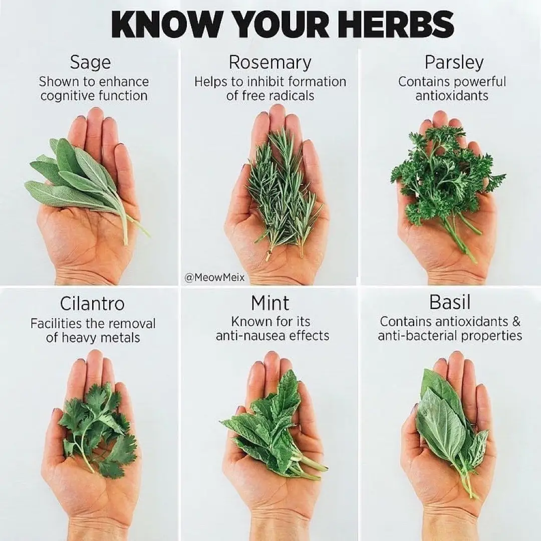 Follow for more 🔥 | Watch Next 👉  @Wellnesstactics 🌱  #homeremedies #naturalremedies #healthbenefits #naturalremedy #naturalmedicine #healthtips #remedy #healthiswealth #holistichealth 
