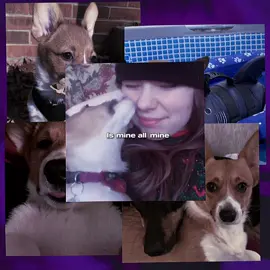 Penelope (Nellie) 2019-2023 🌈