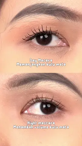 Kamu lebih suka look yang mana?😉 #pinkflashcosmetics #pinkflashlive #Pinkflash #fyp #pinkflashindonesia #mascara #waterproof #smudgeproof #daymascara #nightmascara 