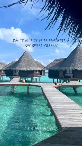 Quiero que seas mi estrella- binomio de oro de América😵‍💫🎶#acordeon #fypシ #vallenato #binomiodeorodeamerica #lyrics #videosletrasparaestados #beach #aguardienteantioqueño 