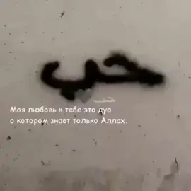 #рек 
