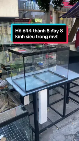 Lên cho ae con hồ 644 kính siêu trong siêu nét cho ae kte tài chính tốt 🥰 #hocanamhaiduong#xuhuongtiktok#fyp#CapCut#aquascape#hocacanh#aquarium#kinh#fypage