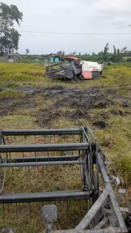 cứu đội bạn 1 chén.