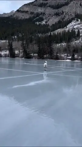 Just a tad bit slippery out here 😂🥶 #dog #dogsoftiktok #viralvideo #puppy #funny #fyp 