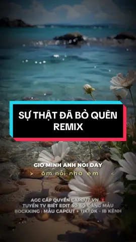 #CapCut giờ mình anh nơi đây ôm nổi nhớ em - SỰ THẬT ĐÃ BỎ QUÊN REMIX #CapCut #quynho #edit #agcqn #viral #xuhuong #qnteamremix #bequy_edit #bequy_2k #HelloVietnam #suthatdaboquen #suthatdaboquenremix 