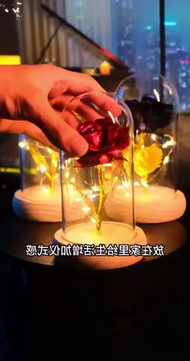 Hoa Hồng Vĩnh Cửu, Hộp Quà Lọ Thuỷ Tinh Kèm Hoa Hồng 3D Sáng Đèn LED - Quà Tặng Lãng Mạng, Quà Tặng Tình Yêu, Noel. #giadungthongminh #dogiadung #giadungtienich #giadungtrungquoc #thegioigiadung #trending #vairal #review #xuhuong 
