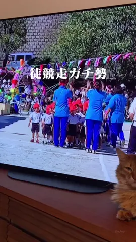 うちの弟だけ世界陸上だと思ってる #幼稚園 #運動会 #最後の子はもうジョギングなんよ #面白い #おすすめ 