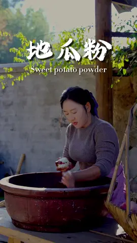 #chinesevillagelife #china #chinesewomen #shendan #沈丹 #nostalgiashendan #chinesefood #乡愁沈丹 #chineseculture 