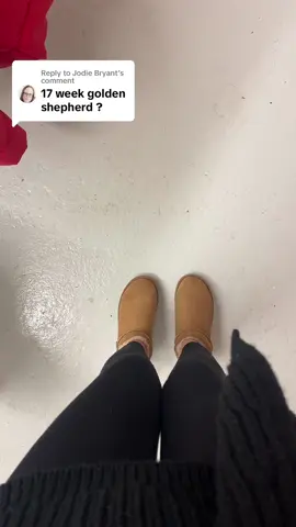 Replying to @Jodie Bryant  #dogrecommendations #tiktookchallange #naturalpetsupplies #naturaldogcompanyuk #doglover #mabelsnaturalpetsupplies 