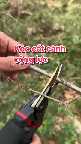 Kéo cắt cành cây cộng lực, chất liệu thép sk5 cực chắc chắn và sắc bén #keocatcanh #keocatcanhcay #keocongluc #keocatcanhcongluc #keocattiacanhcay 