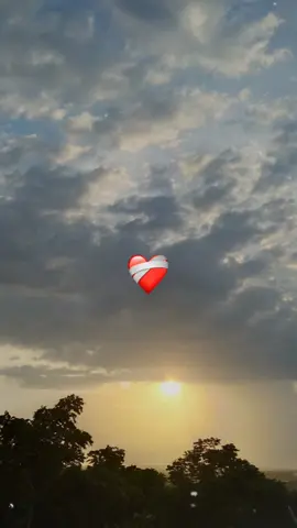 #recuerdame #astaelcielo #hermano  #campeon #fypシ 🕊️🥀