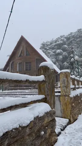 ‏‏‏📍Chrèa , Park national 🇩🇿  .. Blida ❤️ .. #alg #algerienne🇩🇿 #dz #blida #alger #chrea #winter #snow #blida09🇩🇿 #algérie #بليدة #الجزائر #شريعة #capcut #tranding #tiktok #Lifestyle #voyage #travelphotography #traveltheworld #photography #travel #❤️ #🥶 #reelsinstagram #reelsinstagram #liketime #algeria🇩🇿 #algeriatravel 