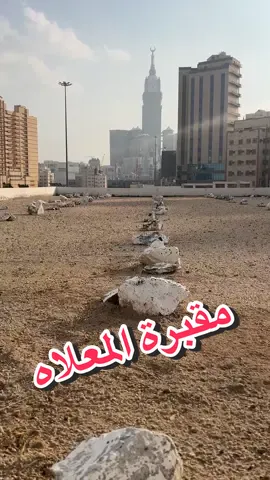 يارب ارحم موتانا وموتى المسلمين #محمود_حميد #اكسبلور #فيديو #مقبرة_المعلاه #مشاهير #فيديو #اكسبلورexplore #تيك #مكة_الآن #مكة_المكرمة #السعودية #المملكة #تيك_توك 