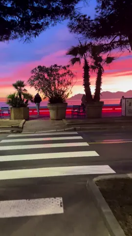🌴WINTER IN CANNES 🌴#cannes #cannes2023 #france🇫🇷 #suddelafrance #southoffrance #sunset #sun #beach #winter #joyeuxnoel #merrychristmas 🎄🎁