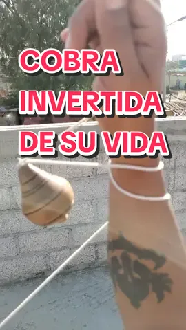 #trompodemadera #trucosdetrompo #spintop #spintoptricks #trompos #trucostrompo 