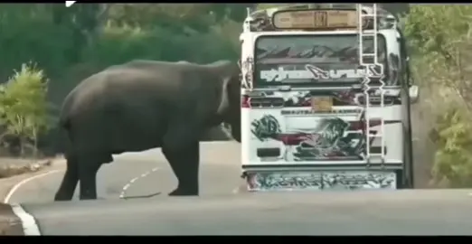 Sri Lanka Bus Driving 🚌🚌🚌🚌🚌🚌🚌🚌🚌