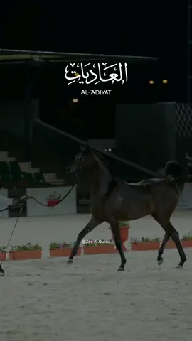 Al-'Adiyat | Mishary Rasid Alafasy                 #allah #zeealquran #quran #viral #fyp #alquran #recitation #tilawet #beautifulquranrecitation #aladiyat 