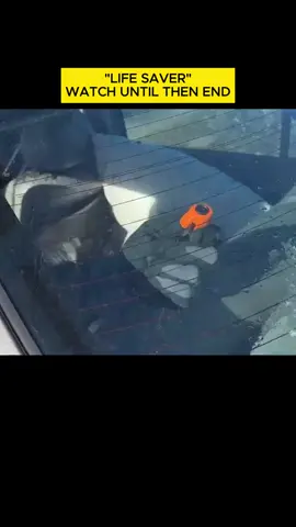 The Day We Learned the Truth! #missing #adventureswithpurpose #LearnOnTikTok #fyp