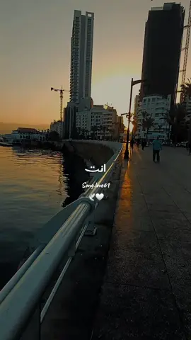 اموت فيك انت شبلاك🕊🤍                       #song_love69 #حسين_الجسمي #اغاني_خليجيه #اغاني_حب #اغاني_رومانسية #اغاني #لبنان #بيروت #الله_يخليك_لاهلك #CapCut @song.love69 @song.love69 @song.love69 