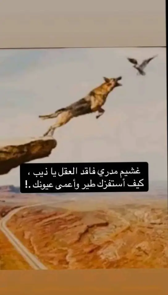 #موسيقى_بدويه_حزينه #غشيممدريفاقدالعقل#الذيب #رزان #السعوديه #الرياض #explore #capcut #tiktok #fyp 