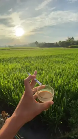 tapi maen epep#bahanswmubolo😁 #salingjaga #SerunyaLiburan #freefire 