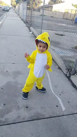 baby shark