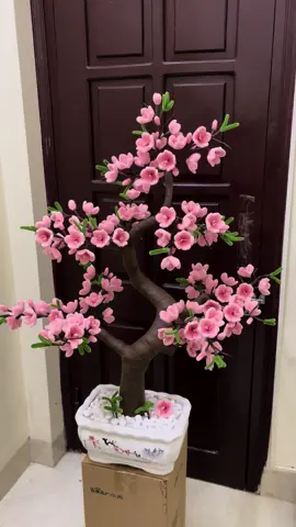 Cây đào cao 80cm #tet #caydaokemnhung #hoadaokemnhung #capcut #hoatet #cachlamthancay 