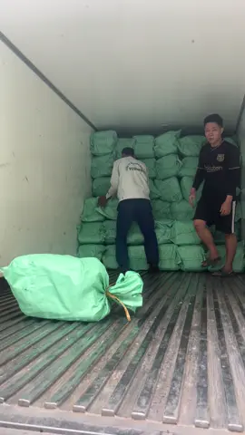 Còn bn % nghị lực,thì sẽ hết mình cho cv,xem từ giờ đến năm sau,mọi thứ sẽ thay đổi ra sau #zl + wchat +wshap 0868044464