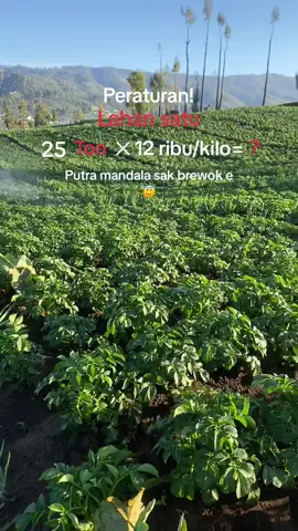Gagal sarjana dan menjadi petani muda🤤#putramandala #mberot #stekkentang #fypシ #petaniindonesia🇮🇩🇮🇩🇮🇩🌿🌿 #kulturjaringan #petanimilenial #trending #masukberandafyp #petanimuda #viral #petanikentang #petanicabai #musimpanas @Ramanda @Fhrdn 