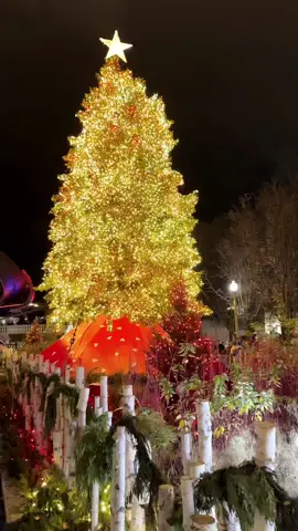 Christmas in Chicago 📍🎄