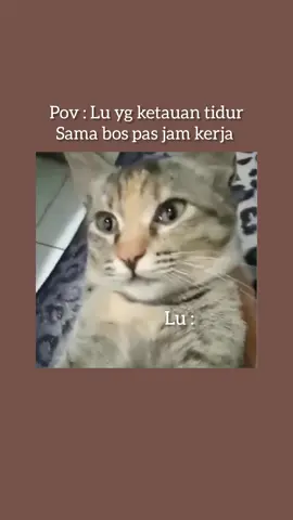 kelakuan siapa ini