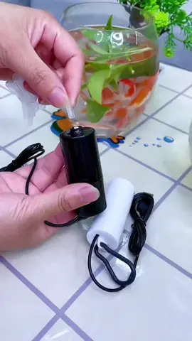 Máy oxy usb phòng khi cúp điện cho bể cá trang trí thật đẹp #Bettacoffy #betta #becamini #trangtrihoca #trangtribeca #mayoxy #dentrangtri #denhoca #guppy #tieucanh #LearnOnTikTok #longervideos #oxyusb #mayoxy 