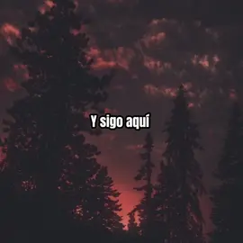 #parati #jorgedominguezysugruposuperclass #ysigoaqui #recordando #viejitasperobonitas #lyrics #musicaparadedicar #musicaromantica #letrasdecanciones #pop #música 