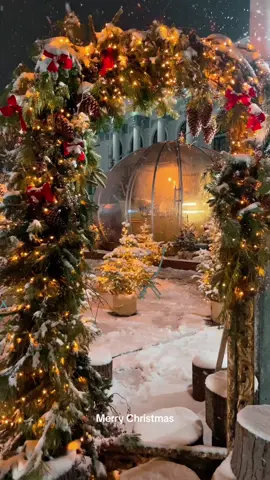 #video #chisinau #moldova #tiktokmoldova #viral #winter #merrychristmas #nightcity #localsmd #art #lilianiatco 