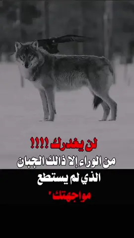 ستوريات اقوال واحكام لن يغدرك من الوراء الاذاك الجبان لايك ومتابعة ومشاركة وحركة اكسبلور 