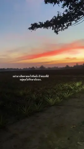 #เธรด #เธรดเพลง 