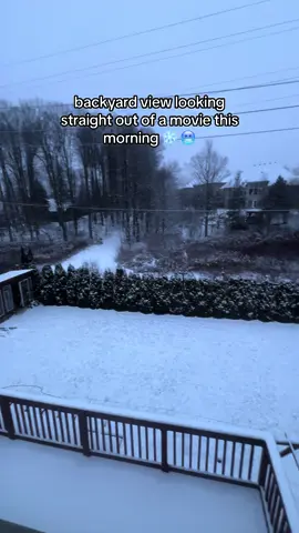 finally some snow 🥶❄️ #punjabitiktok #desitiktok #browntiktok #punjabi #desi #brown #fyp #foryou #foryoupage #canada #snow #canadianwinter 