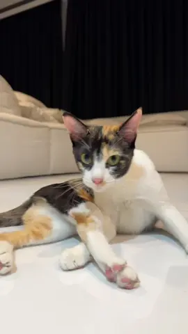 #ลุคข้ามปี 