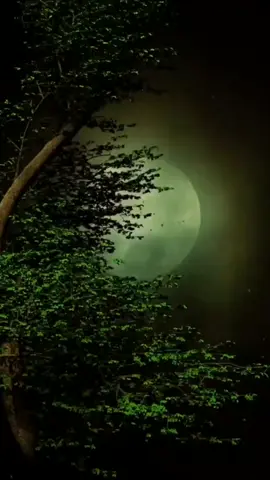 BACKGROUND NUANSA MALAM TINGGAL PASANG FOTO #mentahan #greenscren #storysingkat #pabinpaker #beranda 