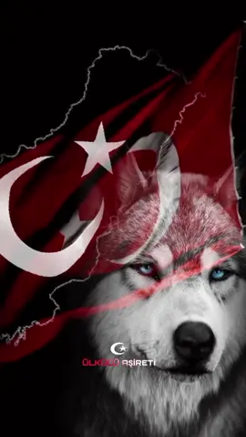 T Ü R K O Ğ L U |  T Ü R K Ü M | B E N !  #ülkücü #🇹🇷 #asireti #asena #bozkurt 