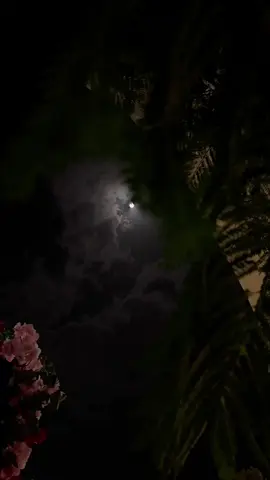 اُحبـكَ ومن حُبـك وأنـا فـِي المنامَ أدعيگ..😴❤️🎼#عبدالله_ال_مخلص #تصويري_تصميمي #جبراتت📮 #هواجيس_الليل #أحبك_ومن_حبك_ونا_فالمنام_ادعيك #تصميم_فيديوهات🎶🎤🎬 #fypシ #foryou 