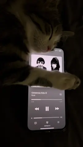 #christmaskids #roar #cat #music #viral #foryou #foryoupage #foryoupageofficiall 