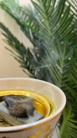 آم نصوري🐆 #نحب الكرم والطيّب نعدّه من الروح🤍 #تصويري_سنابي_يومياتي📷  #مرحبا_مليون_في_ضيوفنا  #اكسبلور  #viral  #foryou 