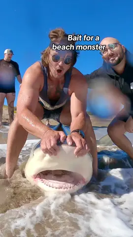 Beach Monster Caught W A DRONE?!?  @urbandrones  @Swellpro  @Run For The Reels  #thefishermeng #fishing #southshore #bunker #shark #sharkfishing #beachlife #sunrise #sunrisephotography #beautiful #nature #naturephotography #youtube #youtuber #fishingyoutubers #centralpark #NYC #nyclife #centralparkactivites #centralparkfishing #snook #snookfishing #snookcatching #largemouthbass #carp #carpfishing #nyfishing #nyfishingcharters 
